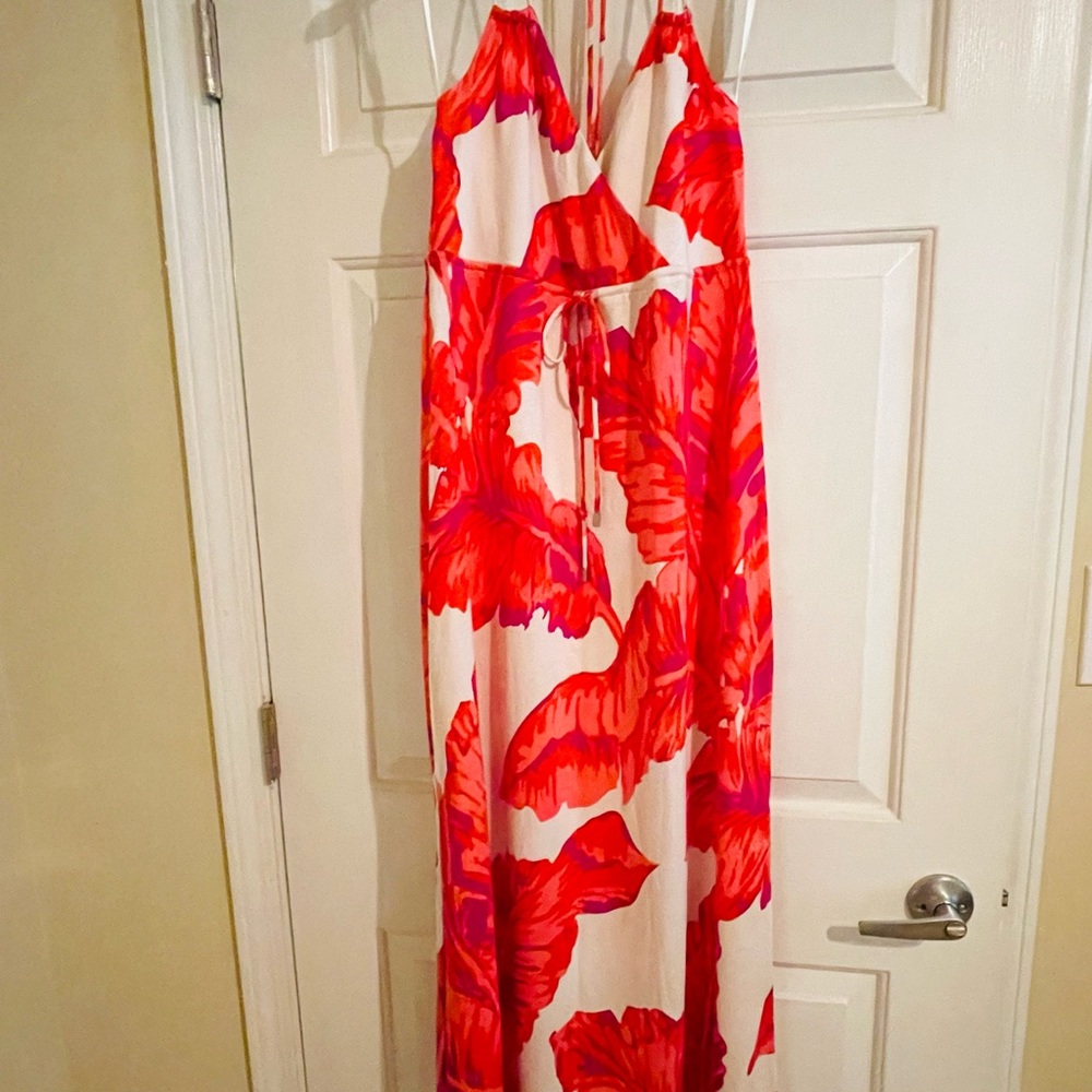 Banana Republic x Milly maxi dress.